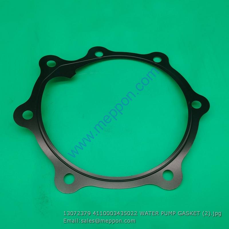 13072379 4110003435022 WATER PUMP GASKET