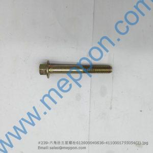 612600040636 4110001755054 WEICHAI BOLT