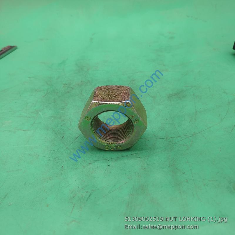 51309002519 NUT LONKING