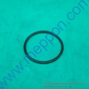 56145013801 O-RING LONKING