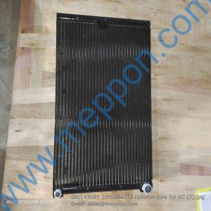 860143195 1000384216 radiator core for AC